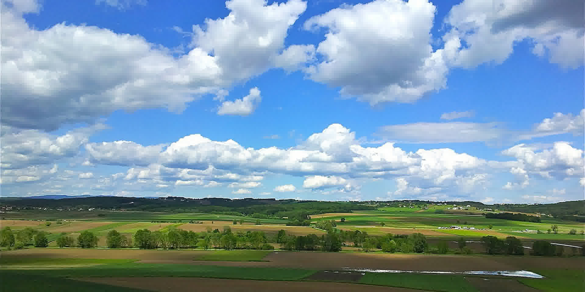 Weinberge im Südburgenland